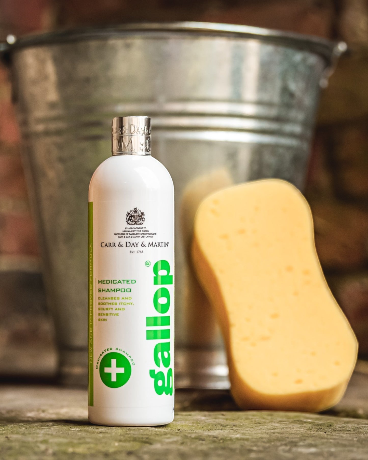 C&D&M MEDICATED Healing Shampoo 500ml