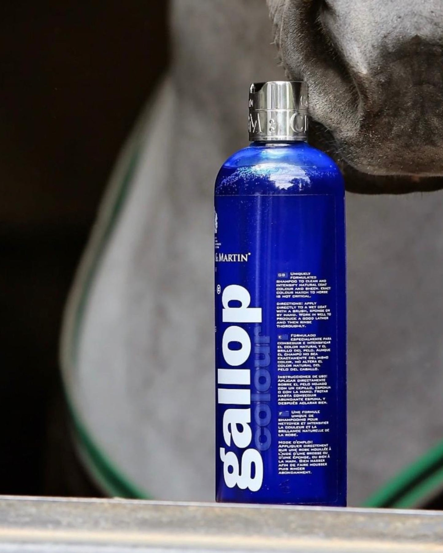 C&D&M GALLOP COLOUR Szampon wzmacniający kolor dla koni siwych 500ml