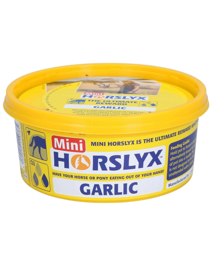 Horslyx Mini różne smaki 650g lizawka dla konia