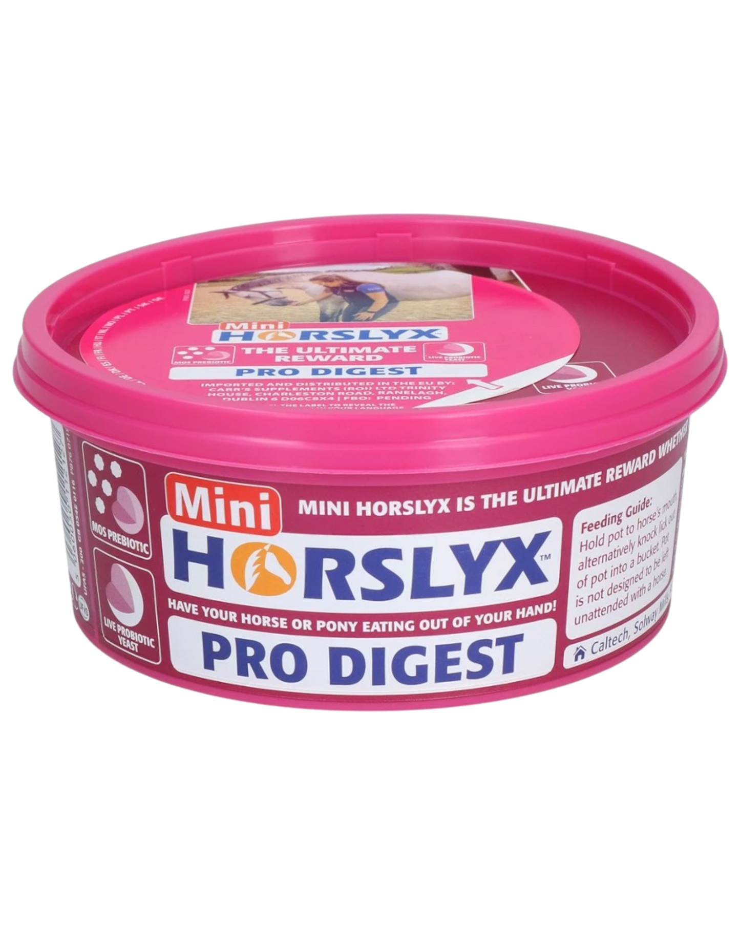 Horslyx Mini różne smaki 650g lizawka dla konia