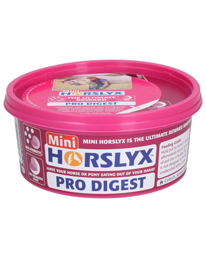 Horslyx Mini różne smaki 650g lizawka dla konia